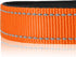 Joytale Dog Collar, Soft Neoprene Padded Breathable Nylon Pet Collar, Adjustable for Small Dogs, Orange, Size S