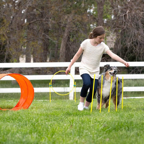 Set Interactive Outdoor Dog Agility Training for Active Pups