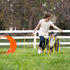 Set Interactive Outdoor Dog Agility Training for Active Pups