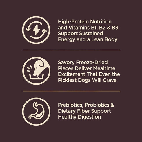 Wellness CORE+ Natural Grain Free Dry Dog Food, Wild Game Duck, Wild Boar & Rabbit with Freeze Dried Lamb, 4-Pound