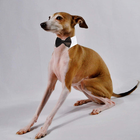 Dog Bow Tie, KOOLMOX Adjustable Black Pet Tuxedo Collar with White Bow Tie for Medium Large Dogs