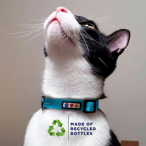 Pawtitas Recycled Cat Collar - Reflective Breakaway Collar with Safety Buckle and Removable Bell, Purple Quartz