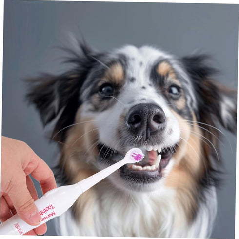 2pcs Beavorty Toothbrush Electric Pet Brush Gentle Gums Care Travel Size Random Color