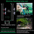 11.8 Inch Shrimp Feeding Tube with Dish, Suction Cup, Cleaning Brush, Aquarium Feeder