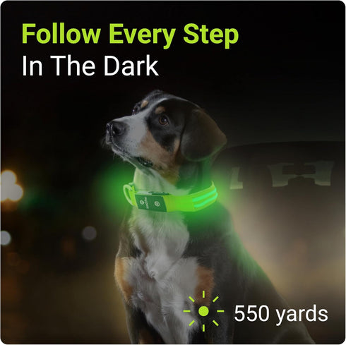 Tractive LED Light Up Dog Collar, USB Rechargeable Waterproof for Large Dogs (Green)