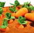 Generic 12 1 Snuffle Toys for Dogs - Carrot Interactive Feed Game, Piece Plush Puzzle Mat for Puppy Mental Stimulation