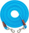 Tie Out Rope Dog Leash, Heavy Duty Nylon Check Cord for Medium Large Dogs Indoor/Outdoor (3/8" x 15ft, Blue)