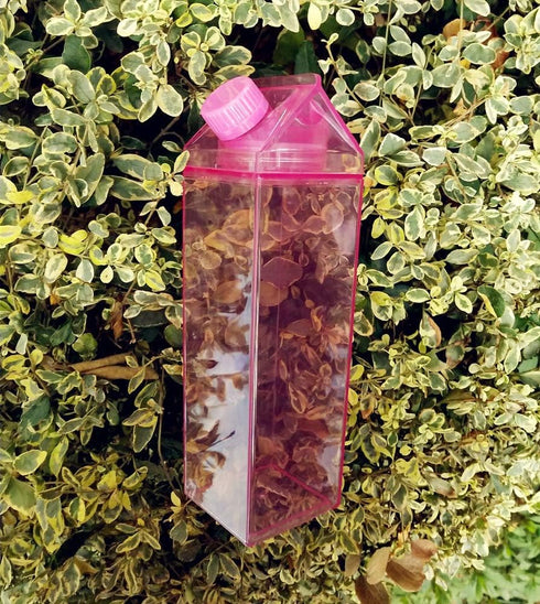 Jinberry 500ml/17Oz Portable Cute Leakproof Milk Carton Water Bottle for Outdoor Climbing, Tour, or Camping