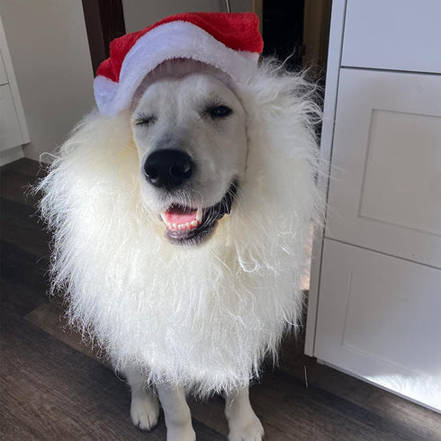 Funny Pet Reindeer Moose Costumes for Dog, Cute Furry Pet Wig for Halloween Christmas, Pet Clothing Accessories (Santa