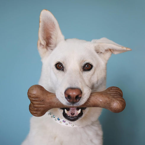 Bulkster Durable Chew Toy for Medium Dogs, Real Bacon, Made in USA, Dog Toys for Aggressive Chewers