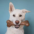 Bulkster Durable Chew Toy for Medium Dogs, Real Bacon, Made in USA, Dog Toys for Aggressive Chewers