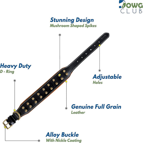Genuine Leather Spike Dog Collar | Full Grain, Heavy Duty for Medium, Large, XL Breeds (1.75" Wide, Black)