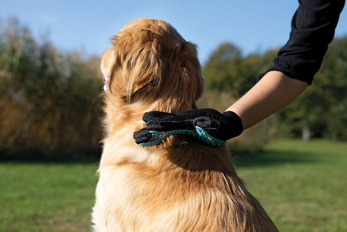 TRIXIE Pet Grooming Glove for Dogs and Cats - Cleans and Softens Coat