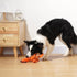 Dog Toys - Cute Plush Squeaky Toy for Large Breed, Puppy Chew Toy (Lobster)