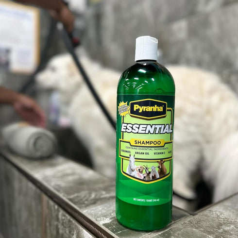 1 PYRANHA Essential Shampoo - Cleaning Refreshing Product for Horse, Dog, Cat & Show Animals with Coconut & Argan Oil