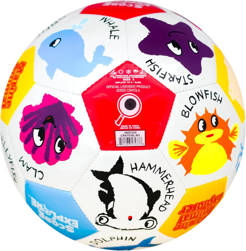 3 Crayola Official Soccer Ball - Unisex Kids - Marine Size