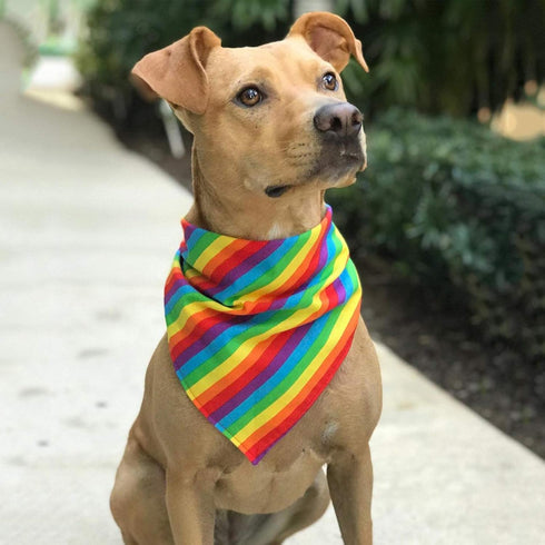 Generic Rainbow Bandana Dog Cat Pets Collar Bibs Pride Day Party LGBT Pet Scarf Fabric Cute Decoration Accessories