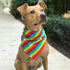 Generic Rainbow Bandana Dog Cat Pets Collar Bibs Pride Day Party LGBT Pet Scarf Fabric Cute Decoration Accessories