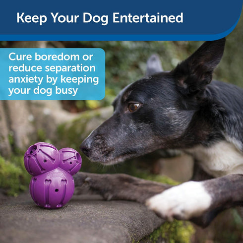 PetSafe Busy Buddy Barnacle - Treat Dispensing Dog Chew Toy
