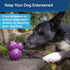 PetSafe Busy Buddy Barnacle - Treat Dispensing Dog Chew Toy
