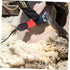 2pcs Electric Wool Shears Accessories - Goat Trimmer Electric Razor Shaver Guide for Sheep Grooming Clippers, Plastic