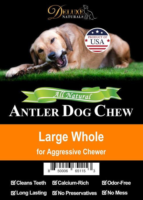 Elk Antler Chews for Dogs - Naturally Shed USA Collected A-Grade Premium Elk Antler Dog Chews, Single Pack Large Whole