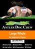Elk Antler Chews for Dogs - Naturally Shed USA Collected A-Grade Premium Elk Antler Dog Chews, Single Pack Large Whole