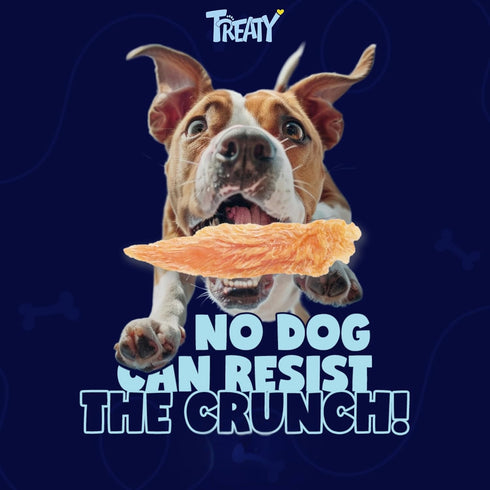 16 oz Treaty Chicken Jerky Dog Treats Limited One Ingredient Natural Dried Chicken Breast Healthy High Protein Dog