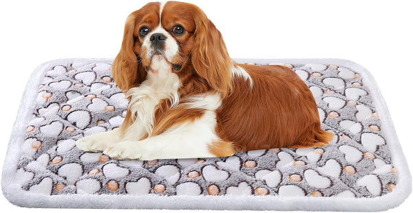 Dog Crate Mats, Soft Reversible Dog Bed Mat, 24x16 Inch, Machine Washable Short Plush Pet Mat for Small Dogs