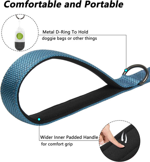 PetiFine 5FT Heavy Duty Dog Leash - Soft Padded Double Handle, Reflective Nylon Walking Lead for Dogs, Blue