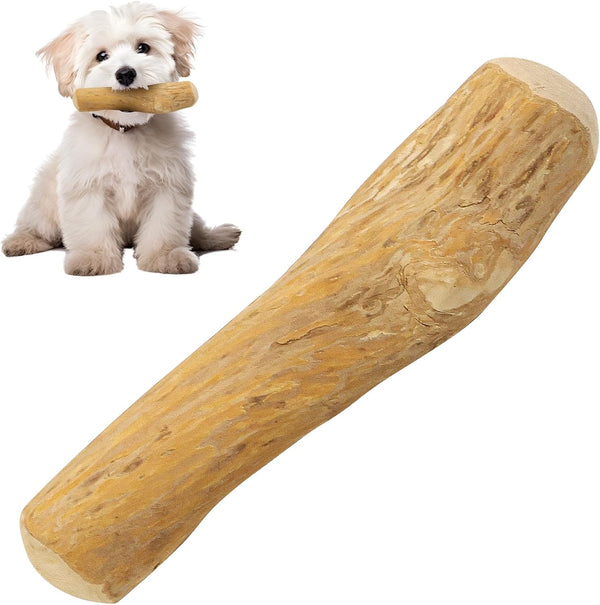SPOT Coffee Wood Dog Chew Toy, 100% Natural & Sustainably Sourced, Durable for Aggressive Chewers, Large Dogs