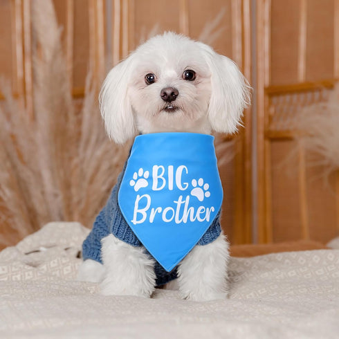 HJZHII Big Brother Dog Bandana, Cotton Adjustable Triangle Personalized Dog Bandanas Custom for Pregnancy Announcement