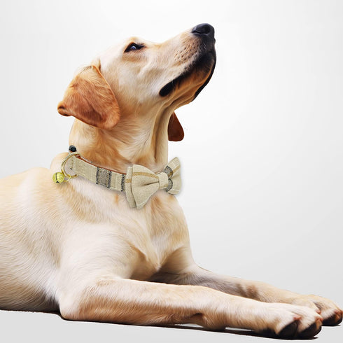 KUDES 2 Pack Dog Collars with Bow Tie and Bells, Adjustable Cute Dog Bow Ties Collar for Small Medium Large Pets (Beige