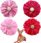 PET SHOW Valentines Flower Charms Slide Collar Accessories for Small Dogs, Medium Large Dogs, Cats, Puppies, Rabbits,