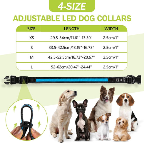 Led Glowing Dog Collars, Lighted Rechargeable Glow Collar for Night, Light Up Dog Collar for Small Dogs (Blue, Pack of