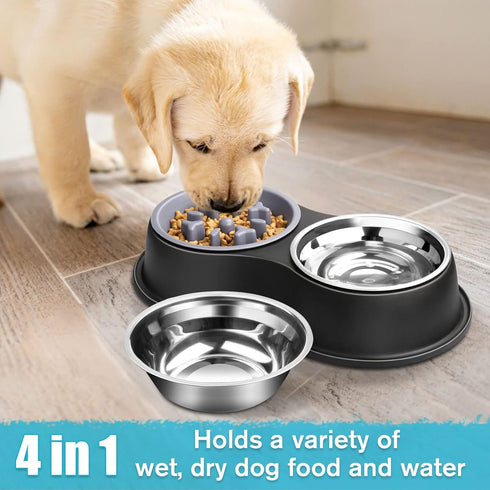 Dog Bowls, Double Dog Water and Food Bowls, Stainless Steel with Non-Slip Resin Station for Puppy and Medium Dogs