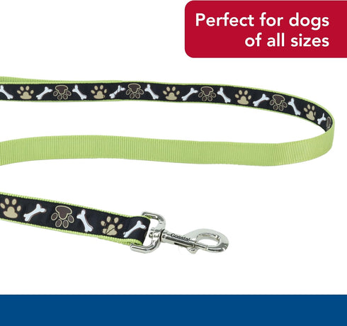 Coastal Pet Ribbon Dog Leash - Durable Fade-Resistant Nylon Material, Perfect for Dogs, 1" x 4'