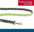 Coastal Pet Ribbon Dog Leash - Durable Fade-Resistant Nylon Material, Perfect for Dogs, 1" x 4'