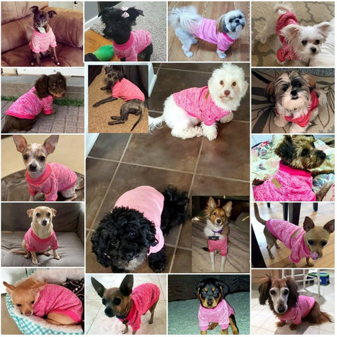 Pet Dog Classic Knitwear Sweater, Warm Winter Coat for Small Dogs (S, Rose)