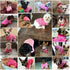 Pet Dog Classic Knitwear Sweater, Warm Winter Coat for Small Dogs (S, Rose)