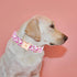 Elegant Little Tail Dog Collar, Watermelon Print Adjustable Cotton Durable Collar for Large Dogs