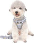 Zunea No Pull Small Dog Harness and Leash Set, Adjustable Reflective Step-in Chihuahua Vest Harnesses for Boy Girl Pets