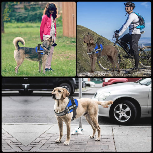 Dog Harness, No-Pull Service Dog Vest with Handle, Adjustable 3M Reflective Nylon Material for Small Medium Large Dogs