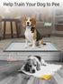 Petacola 23.4 23.4 Inch Dog Pee Pad Holder, x Silicone Potty Holder, Leak-Proof & Non-Slip Design, Protects Floors from
