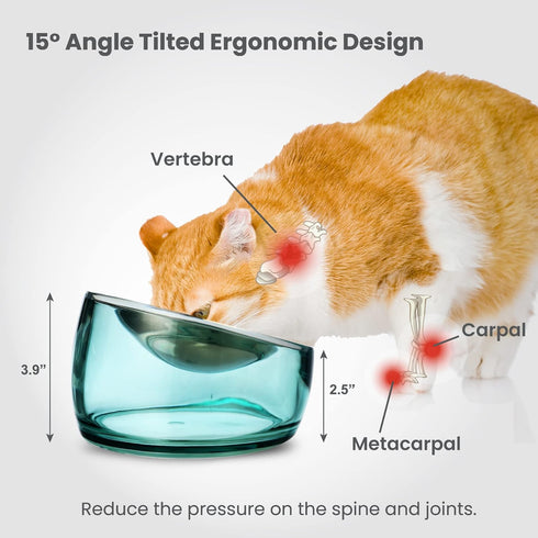 Felli Pet Oblik Anti Whisker Fatigue Cat Bowl, Raised Stainless Steel Wide Shallow Dish, Vomit & Spill Proof, 0.5Cup