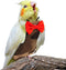 Bird Diaper Washable Reusable Parrot Flight Suit Nappies Protective Breathable Parrot Nappy