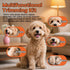 Trimmer Trimmers Dog Paw with LED Light, Low Noise and USB Rechargeable, Safe Rounded-Tip Scissors, Paw for Dog's Feet