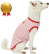 Blueberry Pet Summer Vacation Beach Cotton Dog T-Shirts, 2 Pack, Sea Lover Girl Power Shirts, Tank Top Clothes, Back