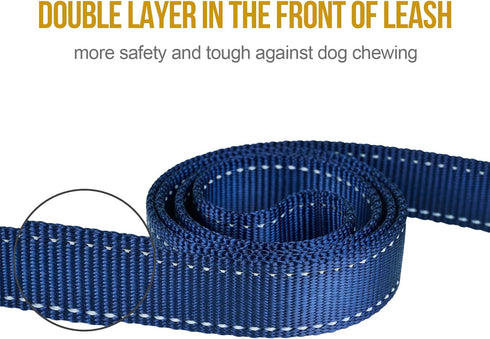 OneTigris No-Pull Dog Walking Leash - Handled Long Traffic Leads for Medium to Large Dogs (Blue, 6FT)