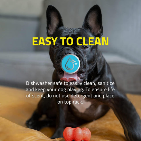 Playology Dual Layer Bone Toy for Medium Dogs (15-35lbs) - Durable Cheddar Cheese Scented Chew Toy for Heavy Chewers,